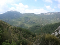 DSC08788