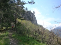 DSC08791