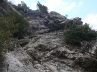 DSC08795