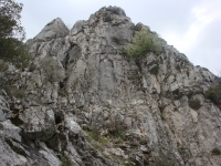 DSC08800