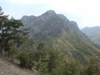 DSC08820