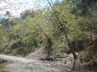 DSC08832