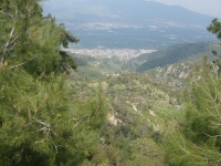 DSC08835