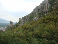 DSC08846