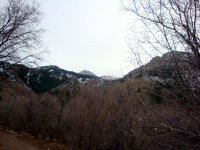 DSC04952