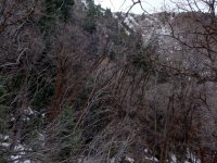 DSC04966