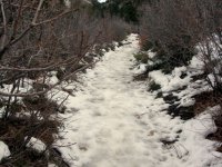 DSC04968