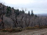 DSC05005