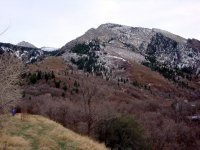 DSC05017