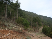 DSC07756
