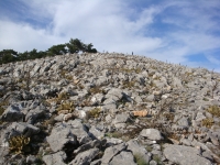 DSC07778