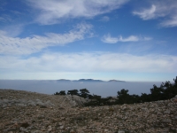 DSC07788