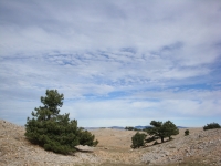 DSC07799