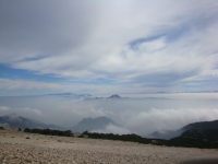 DSC07808
