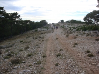 DSC07815