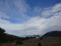 DSC07816