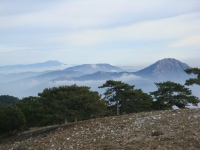 DSC07817