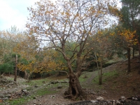 DSC07825