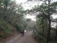 DSC07826
