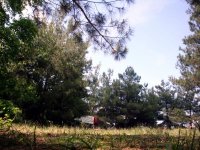 DSC02912