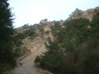DSC05613