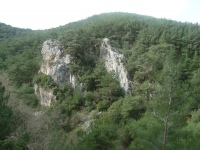 DSC05618