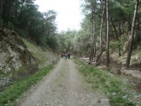 DSC05648