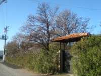 DSC05539