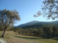 DSC05544