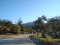 DSC05545