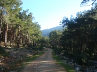 DSC05550