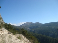 DSC05566