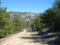 DSC05579