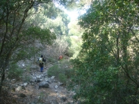DSC05580