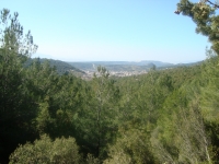 DSC05587