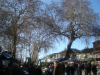 DSC05599