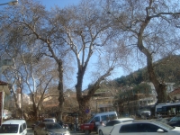 DSC05606
