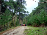 Nif Dağı