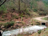 Nif Dağı