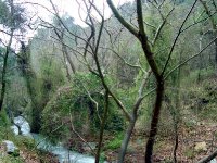 Nif Dağı