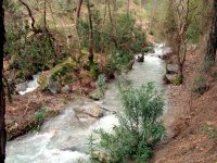 Nif Dağı
