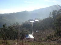DSC00239
