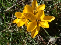 DSC00261