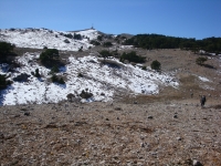 DSC00342