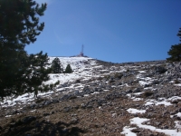 DSC00344