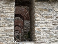 IMG_4337