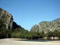 DSC06405