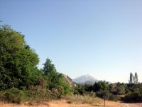 DSC06411