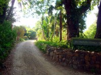 DSC06414