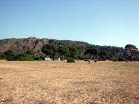 DSC06428